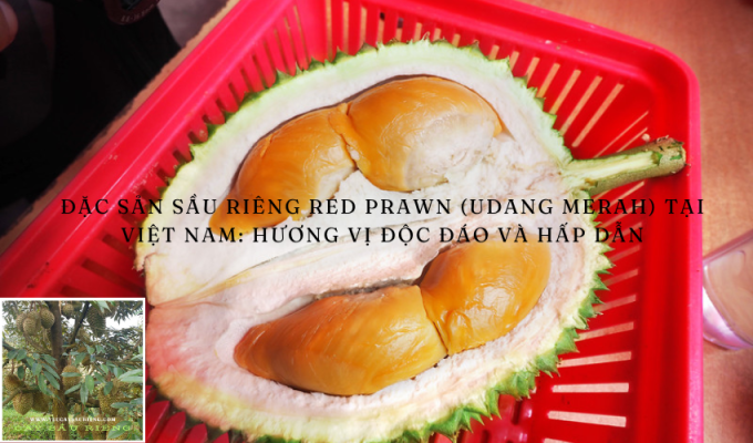 Đặc sản Sầu riêng Red Prawn (Udang Merah) tại Việt Nam: Hương vị độc đáo và hấp dẫn