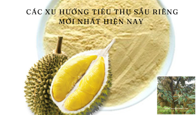 Các xu hướng tiêu thụ sầu riêng mới nhất hiện nay 